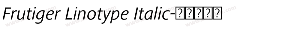 Frutiger Linotype Italic字体转换